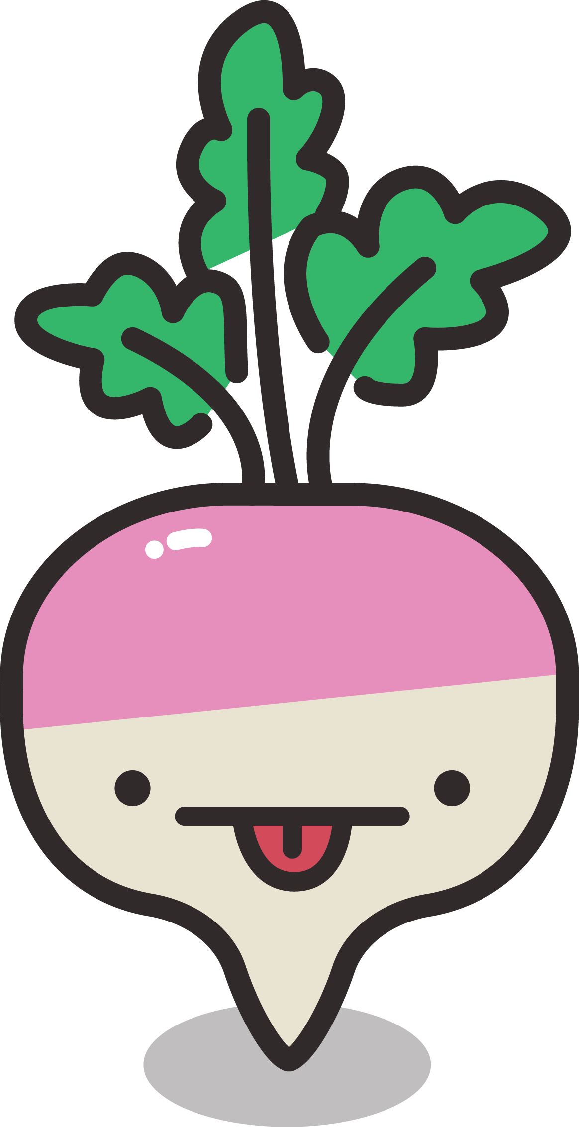 Turnip